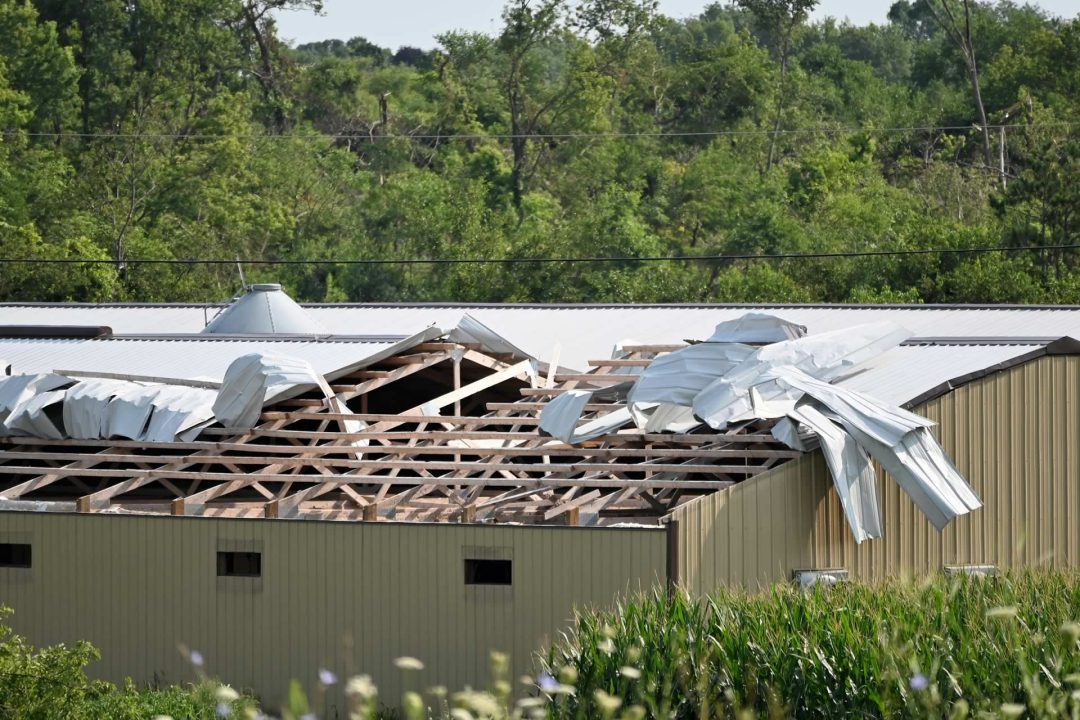 Commercial Repairs